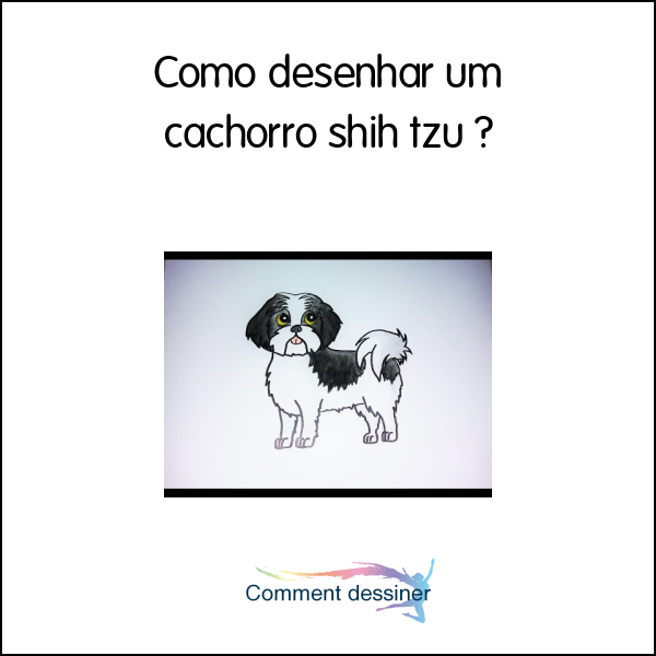 Como desenhar um cachorro shih tzu